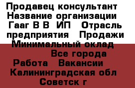 Продавец-консультант › Название организации ­ Гааг В.В, ИП › Отрасль предприятия ­ Продажи › Минимальный оклад ­ 15 000 - Все города Работа » Вакансии   . Калининградская обл.,Советск г.